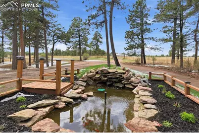 18440 Black Squirrel Road, Colorado Springs, CO 80908 - Photo 3
