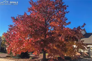 2930 Rhapsody Dr, Colorado Springs, CO 80920 - Photo 5