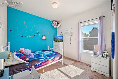 10084 Thunderbolt Trail, Colorado Springs, CO 80925 - Photo 23