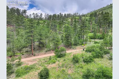 5975 Wellington Road, Cascade, CO 80809 - Photo 9