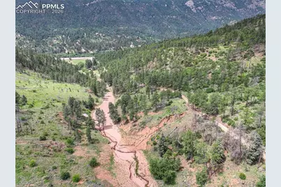 5975 Wellington Road, Cascade, CO 80809 - Photo 7