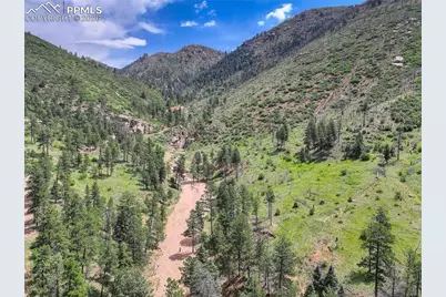 5975 Wellington Road, Cascade, CO 80809 - Photo 5