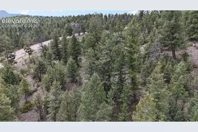 4943 County Road 11, Florissant, CO 80816 - Photo 9