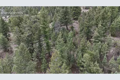 4943 County Road 11, Florissant, CO 80816 - Photo 3