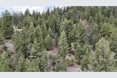 4943 County Road 11, Florissant, CO 80816 - Photo 13