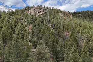 4943 County Rd 11, Florissant, CO 80816 - Photo 1