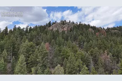 4943 County Road 11, Florissant, CO 80816 - Photo 5