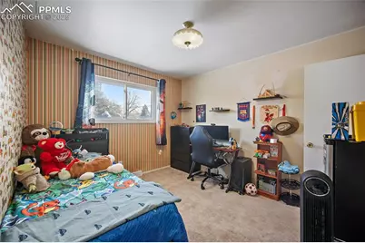 638 Dove Place, Colorado Springs, CO 80906 - Photo 21