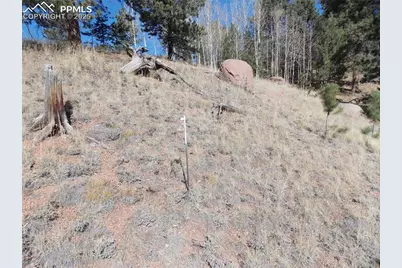 1944 May Queen Drive, Cripple Creek, CO 80813 - Photo 7