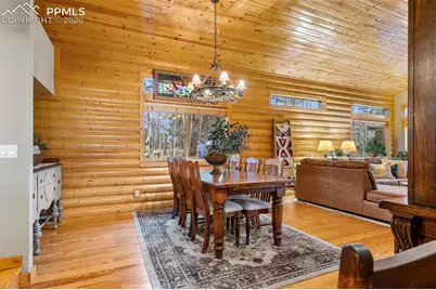 1366 Vagabond Creek Drive, Lake George, CO 80827 - Photo 9