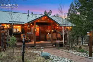 1366 Vagabond Creek Dr, Lake George, CO 80827 - Photo 1