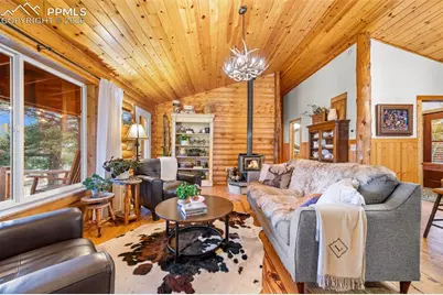 1366 Vagabond Creek Drive, Lake George, CO 80827 - Photo 7