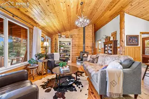 1366 Vagabond Creek Dr, Lake George, CO 80827 - Photo 7