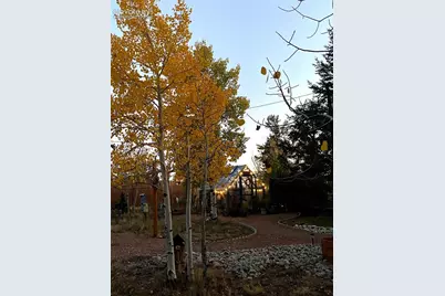 1366 Vagabond Creek Drive, Lake George, CO 80827 - Photo 23