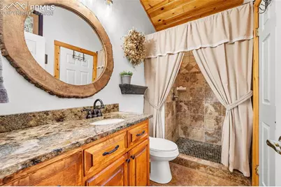 1366 Vagabond Creek Drive, Lake George, CO 80827 - Photo 17