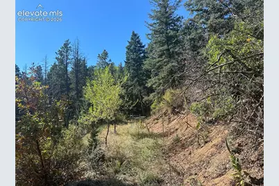 270 Upper Sun Valley Road, Manitou Springs, CO 80829 - Photo 11