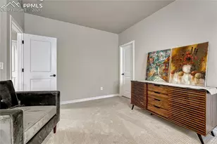 4562 Horse Gulch Loop, Colorado Springs, CO 80924 - Photo 37