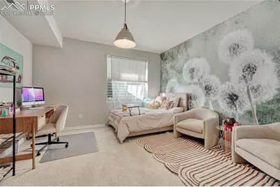 4562 Horse Gulch Loop, Colorado Springs, CO 80924 - Photo 39