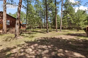 3110 Regent Dr, Woodland Park, CO 80863 - Photo 37