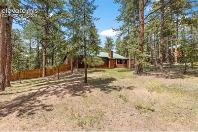 3110 Regent Drive, Woodland Park, CO 80863 - Photo 31