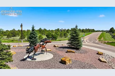 15331 Allen Ranch Road, Colorado Springs, CO 80908 - Photo 5