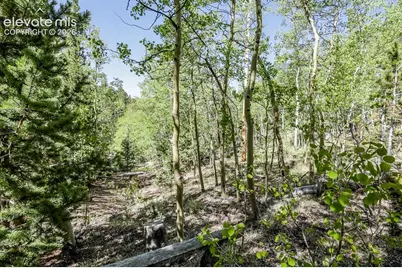 9525 S Highway 67, Divide, CO 80814 - Photo 31