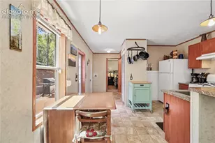 9525 S Hwy 67, Divide, CO 80814 - Photo 15