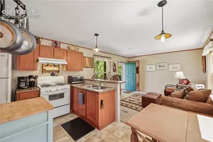 9525 S Hwy 67, Divide, CO 80814 - Photo 13