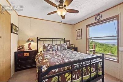 9525 S Highway 67, Divide, CO 80814 - Photo 17