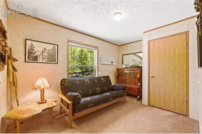 9525 S Highway 67, Divide, CO 80814 - Photo 21