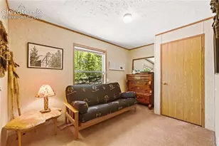 9525 S Hwy 67, Divide, CO 80814 - Photo 21