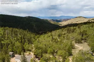 9525 S Hwy 67, Divide, CO 80814 - Photo 35