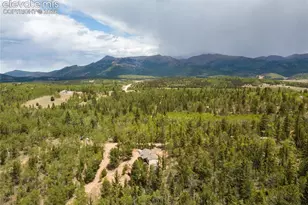 9525 S Hwy 67, Divide, CO 80814 - Photo 37
