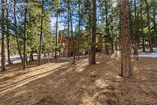 1325 Spruce Ridge Ln, Woodland Park, CO 80863 - Photo 45