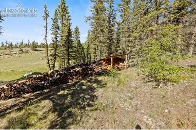 658 Conestoga Creek Road, Florissant, CO 80816 - Photo 31