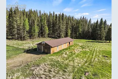 658 Conestoga Creek Road, Florissant, CO 80816 - Photo 3
