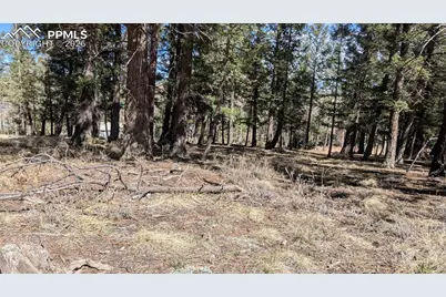 924 Will Scarlet Drive, Divide, CO 80814 - Photo 3