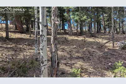 924 Will Scarlet Drive, Divide, CO 80814 - Photo 1