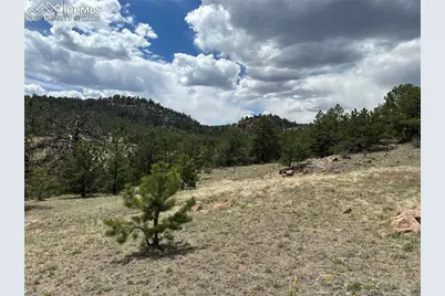 2332 County Road, Florissant, CO 80816 - Photo 9