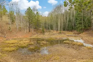 953 Yorktown Rd, Cripple Creek, CO 80813 - Photo 5