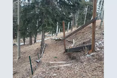 175 Piney Point Lane, Woodland Park, CO 80863 - Photo 35