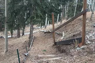 175 Piney Point Ln, Woodland Park, CO 80863 - Photo 35