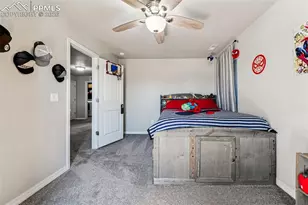 4354 Prairie Agate Dr, Colorado Springs, CO 80938 - Photo 19