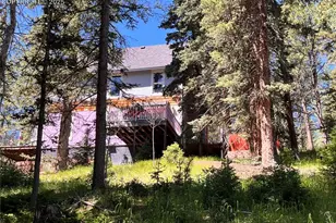 500 Pinon Lake Dr, Divide, CO 80814 - Photo 3