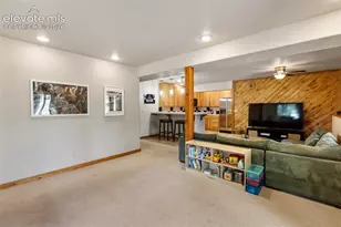 1280 Chippewa Trail, Woodland Park, CO 80863 - Photo 21