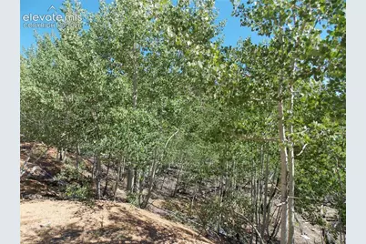 615 Valley Drive, Florissant, CO 80816 - Photo 3