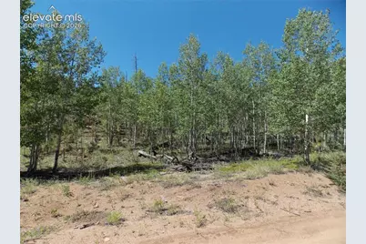615 Valley Drive, Florissant, CO 80816 - Photo 7