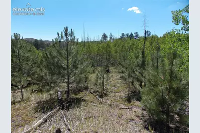 615 Valley Drive, Florissant, CO 80816 - Photo 5