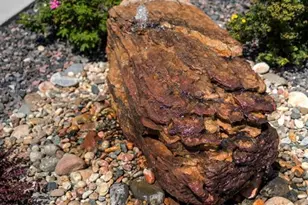 5466 Gansevoort Dr, Colorado Springs, CO 80924 - Photo 47