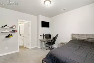 10062 Antelope Ravine Dr, Colorado Springs, CO 80908 - Photo 33